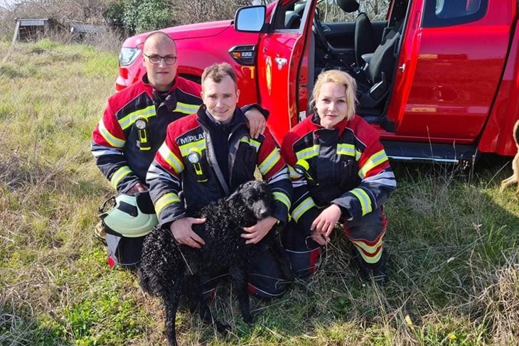 Vatrogasci Umaga spasili psa